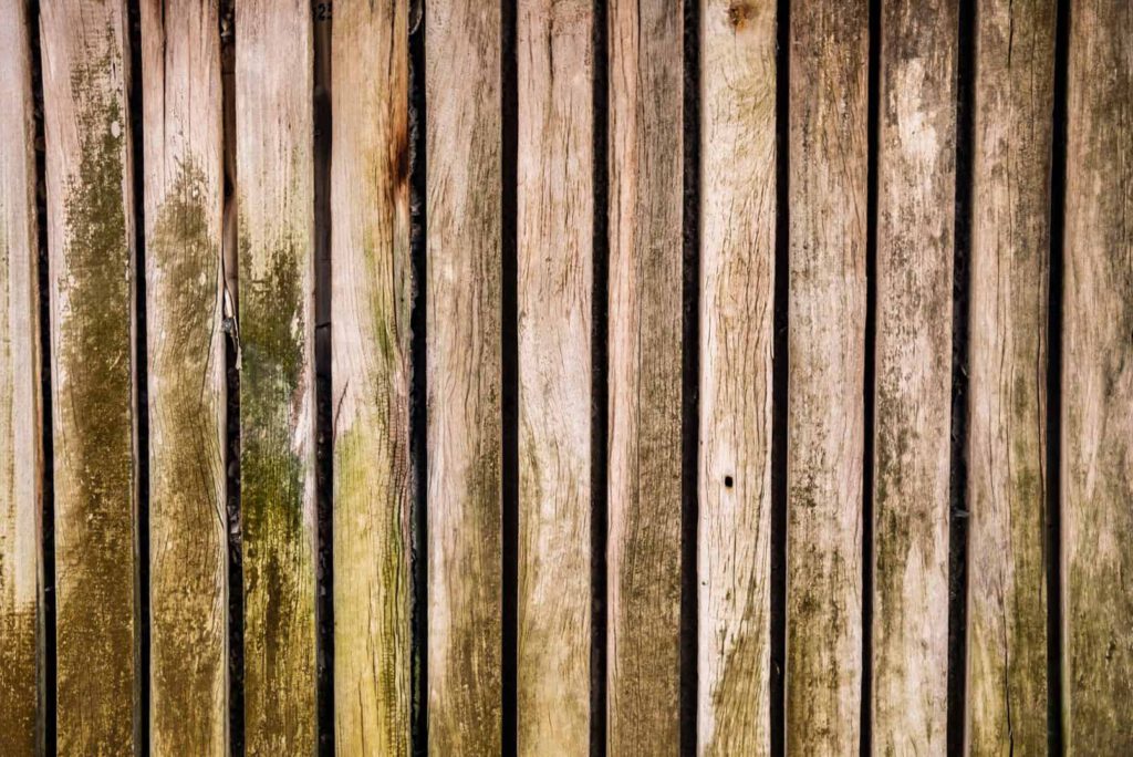 Moldy wood can weaken your deck