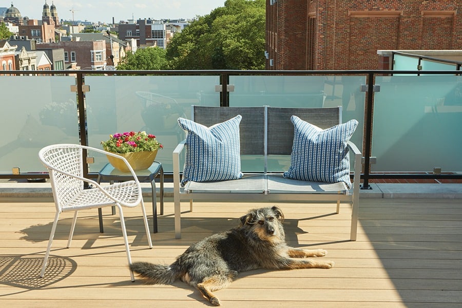 Composite Decking Comparison Insights for Your Project TimberTech