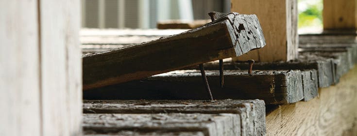 Old Wooden Deck Board Plank Curling Up distressed-tradiitional-wood-deck-board