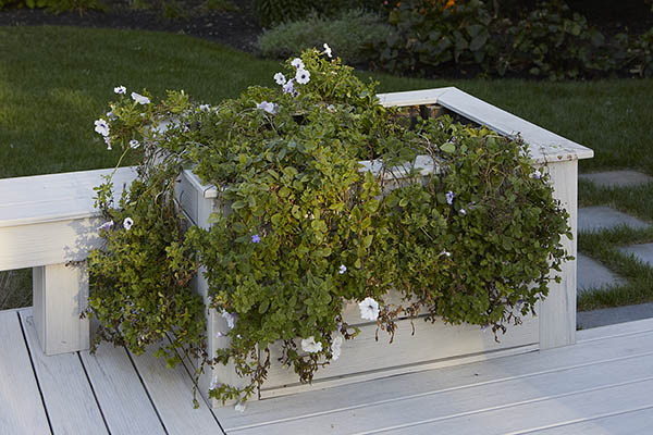 Creative Deck Ideas featuring TimberTech PRO Legacy Collection in Whitewash Cedar with planter box