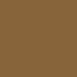 Timbertech Pro Edge Antique Leather Color Swatch