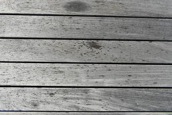 Composite decking comparison reveals inferiority of wood