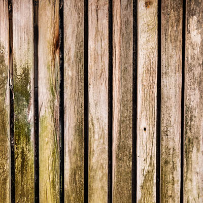 Inspect a wood deck surface for mold and mildew