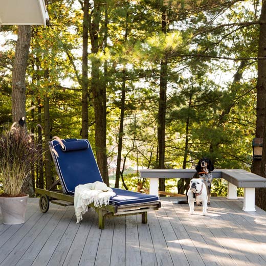 Two dogs and a lounge chair at the edge of a composite deck