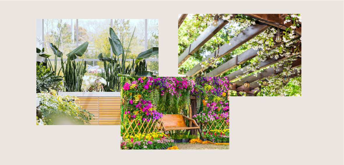 A collection of photos shows how plants provide privacy with a raised planter wall, floral vines on a pergola, and a flowering arch. 