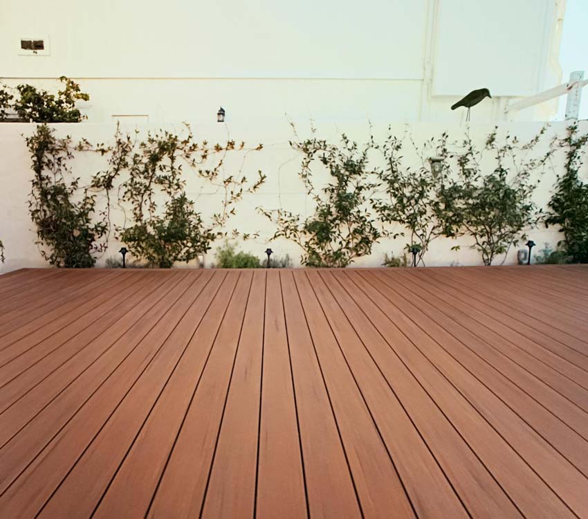 Vines grow up the stucco wall that separates Paddi's deck from her neighbor's yard