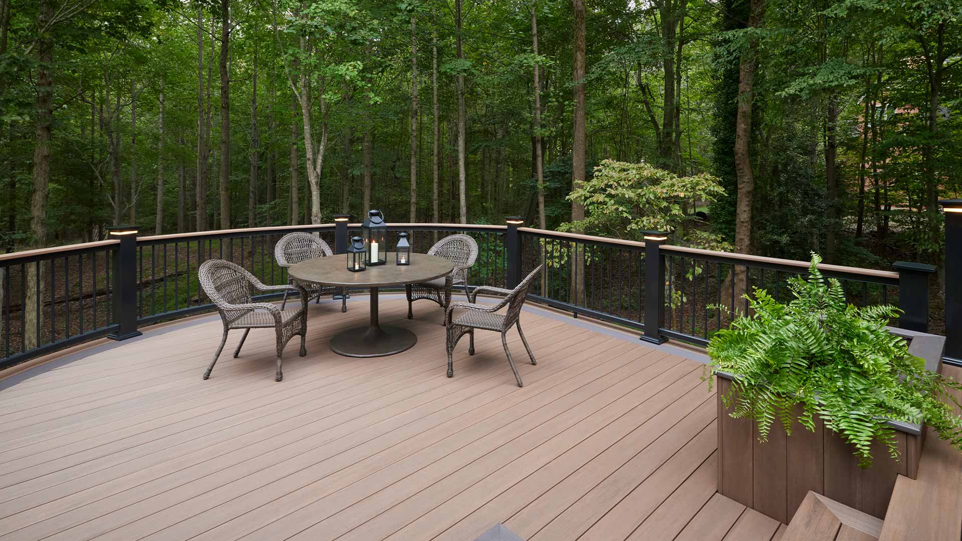 Secluded deck surrounded by forest