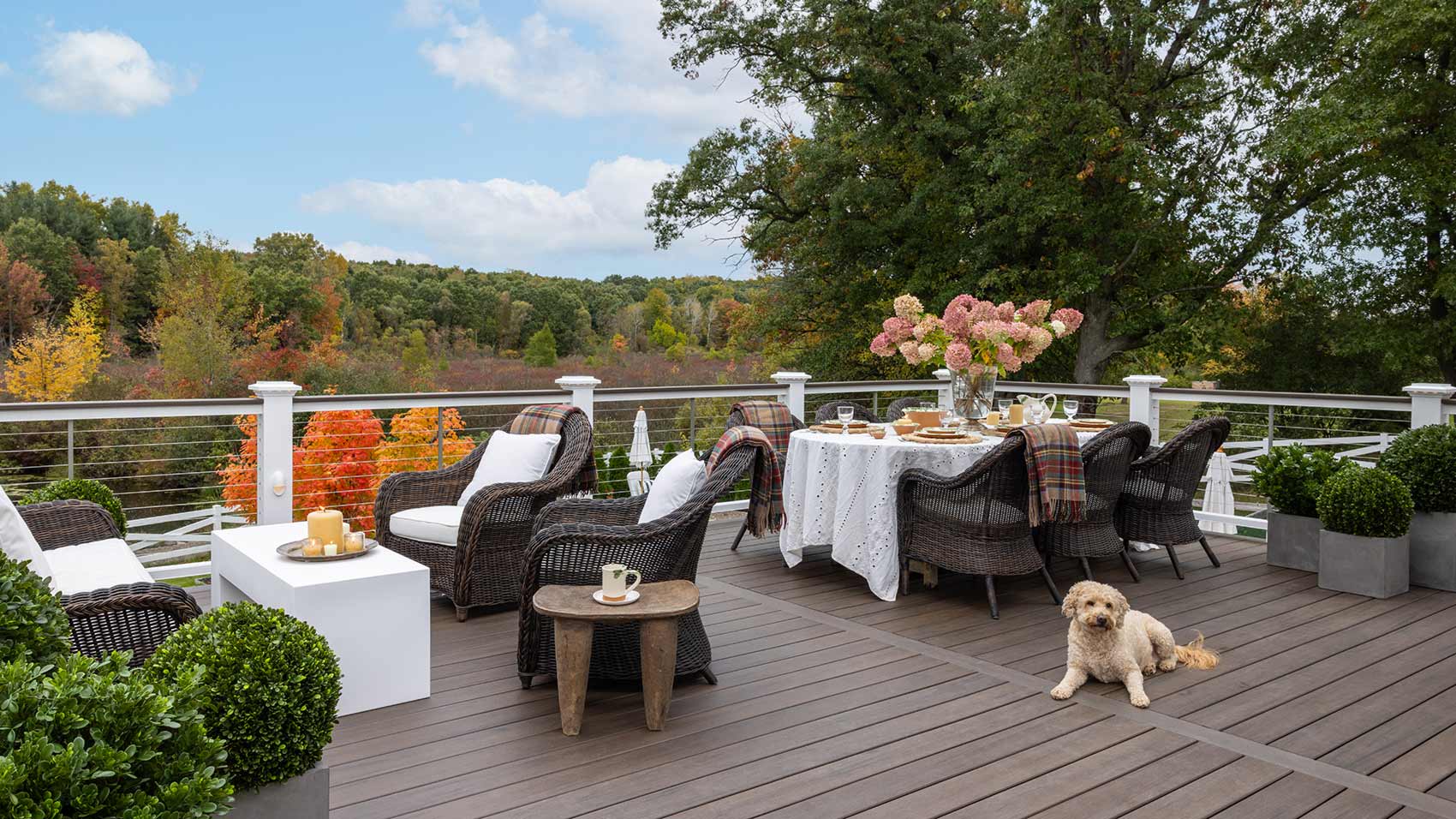 A small dog lays on a dark brown deck, lounge chairs are set up around a modern coffee table on one side of the deck while a dinner table is on the other side