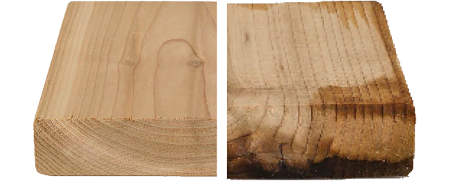 After a 30 day moisture-contact test Cedar wood decking shows significant damage.